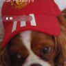 Profilbild von Jimbo