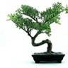 Фото профиля 倭人弐拾捌号