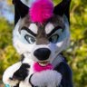 Jyno Husky's profile picture