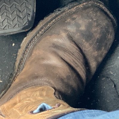 TNin2boots's profile picture