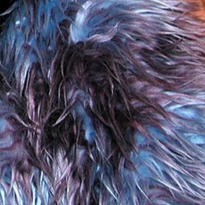 tommyracoon's profile picture