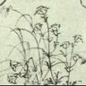 神農 profil fotoğrafı