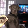 KnucklesUp profil fotoğrafı