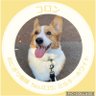 tomomiʕ•ᴥ•ʔCoron profil fotoğrafı
