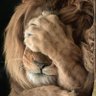 Jude_Rostova's profile picture