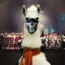 Фото профиля pan Lama 🦙