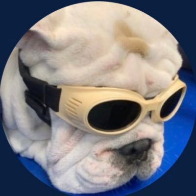 🟡 The tumboy 🟡's profile picture