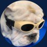 🟡 The tumboy 🟡's profile picture