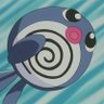 Igor's profile picture