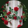 فوزيه الشمري ام لفرح❤️'s profile picture