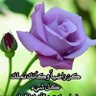 Фото профиля um ibraheem