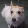 Daisy Sa profil fotoğrafı