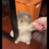 Philip 的头像