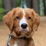 Sir Renity-Now's profile picture