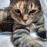 aki profil fotoğrafı