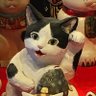 Milk 的头像