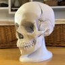 DaveMakesStuff's profile picture