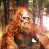 SquatchXXL profil fotoğrafı