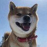一个爱抬杠的小戏精小土狗's profile picture