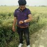 BEANT RAI's profile picture