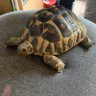 Profilbild von Beanie