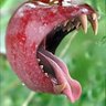 Фото профиля Epletre
