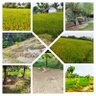 🌿Mydeen_மைதீன்_Spm🌳 profil fotoğrafı