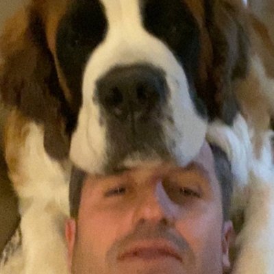 Rodolphe Steffan's profile picture