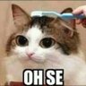 Profilbild von Sciabbaposting