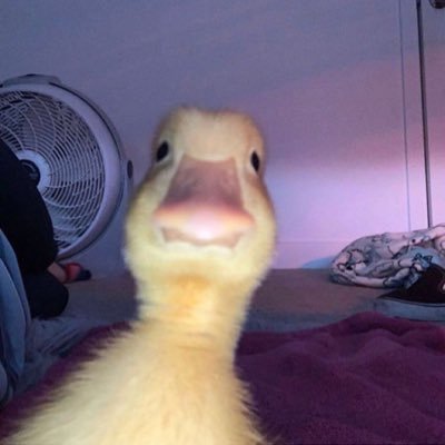 สอปอ's profile picture
