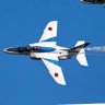 🇯🇵 y10papa (わいてんパパ)'s profile picture