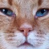 Profilbild von heckan