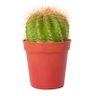 Abu Nazar 的头像