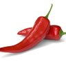 RougePepper's profile picture