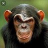 M.'s profile picture