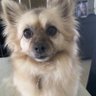Angelgrace69's profile picture