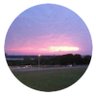 TML's profile picture