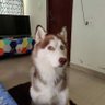 A's profile picture