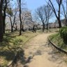 Фото профиля 巌
