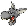 Major Donkey 的头像