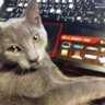 SandraBo's profile picture