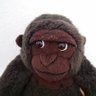 isanimal's profile picture
