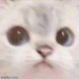 Profilbild von Satindar31