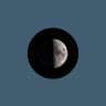gawau's profile picture
