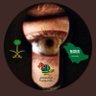 Profilbild von أسماء العجمي 🇸🇦 ﮼١٧٢٧م