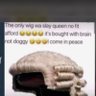 kamaru profil fotoğrafı