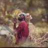 oluwampamilerinayomii profil fotoğrafı