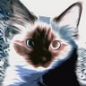 TonyFromTheWeb's profile picture
