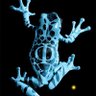 Aphid's profile picture