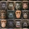 இறைதந்த பகுத்தறிவு profil fotoğrafı